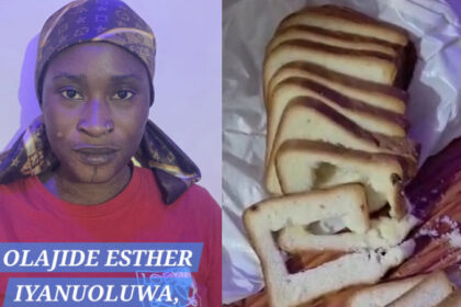 sgdgdg 1 sgdgdg 1 sgdgdg 1