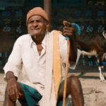 Century Gowda Century Gowda Century Gowda