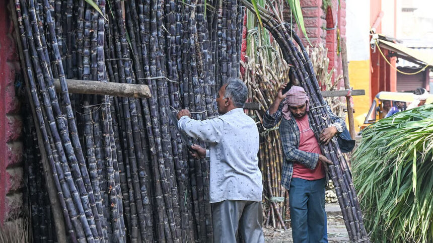 Sankranti Sankranti Sankranti