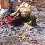 dgdgdgdg dgdgdgdg dgdgdgdg