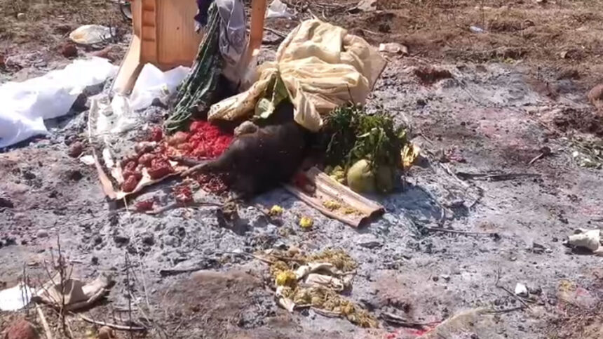 dgdgdgdg dgdgdgdg dgdgdgdg