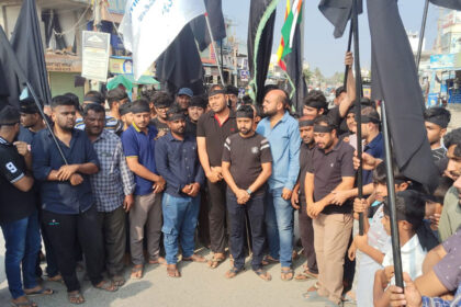 Alipura 01 Alipura 01 Alipura 01