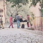 Ballary Ballary Ballary