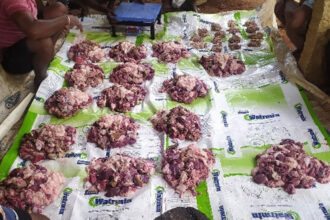 Hosatadaku Hosatadaku Hosatadaku