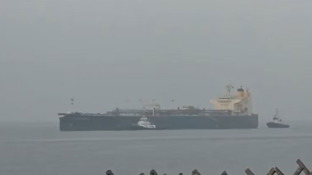 dgdgshfh dgdgshfh dgdgshfh