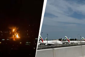 sdgdgd sdgdgd sdgdgd