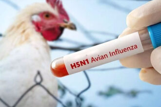 H5N1 H5N1 H5N1