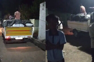 Rice 01 Rice 01 Rice 01