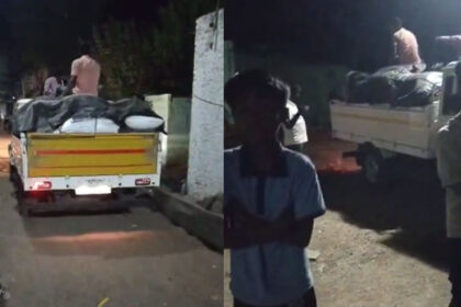 Rice 01 Rice 01 Rice 01