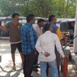 sagadgzdg sagadgzdg sagadgzdg